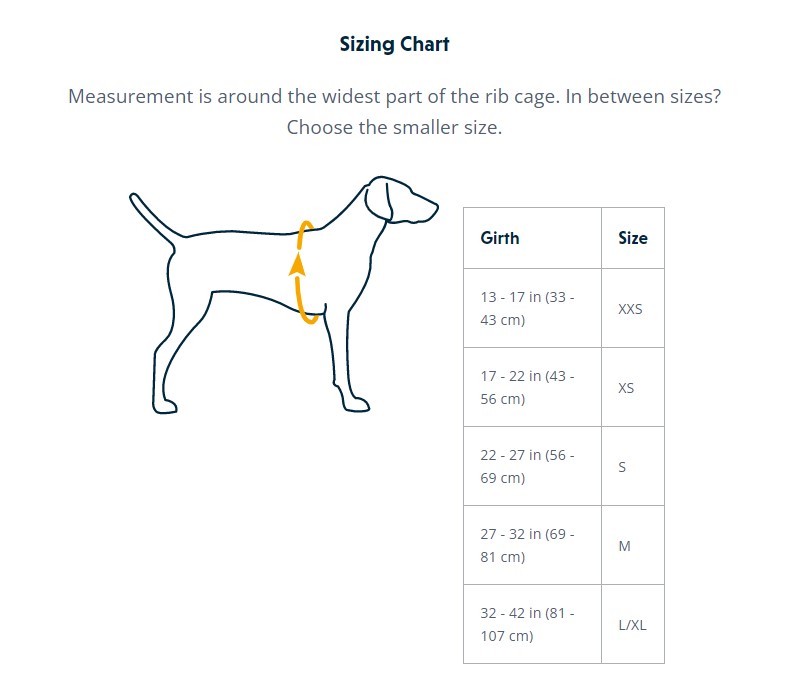 Ruffwear Web Master Hundegeschirr mit Griff – Basalt Gray - 6