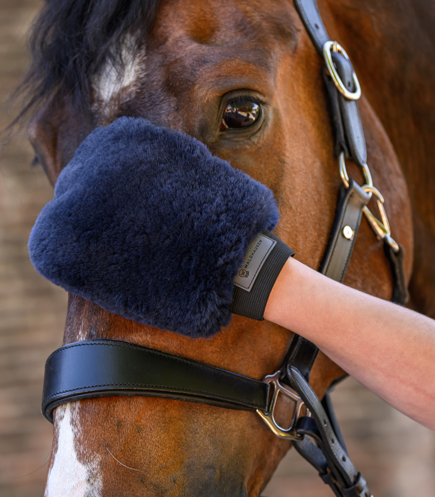 Waldhausen Lucky lambskin grooming glove - night blue/Lucky - 2