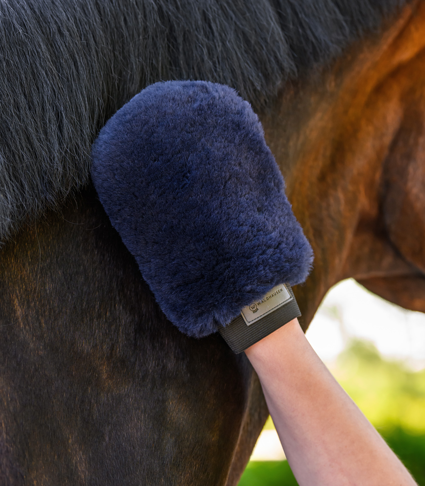 Waldhausen Lucky lambskin grooming glove - night blue/Lucky - 3