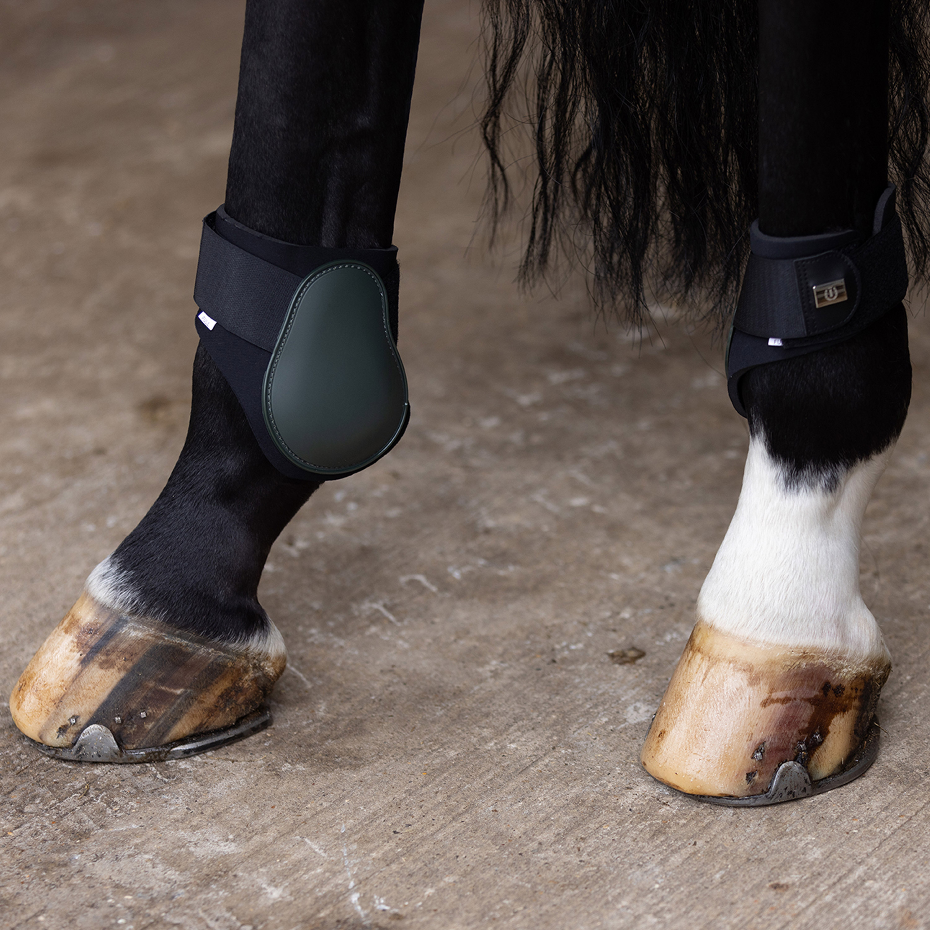 Imperial Riding Fetlock boots Lovely Deep Forest - 2