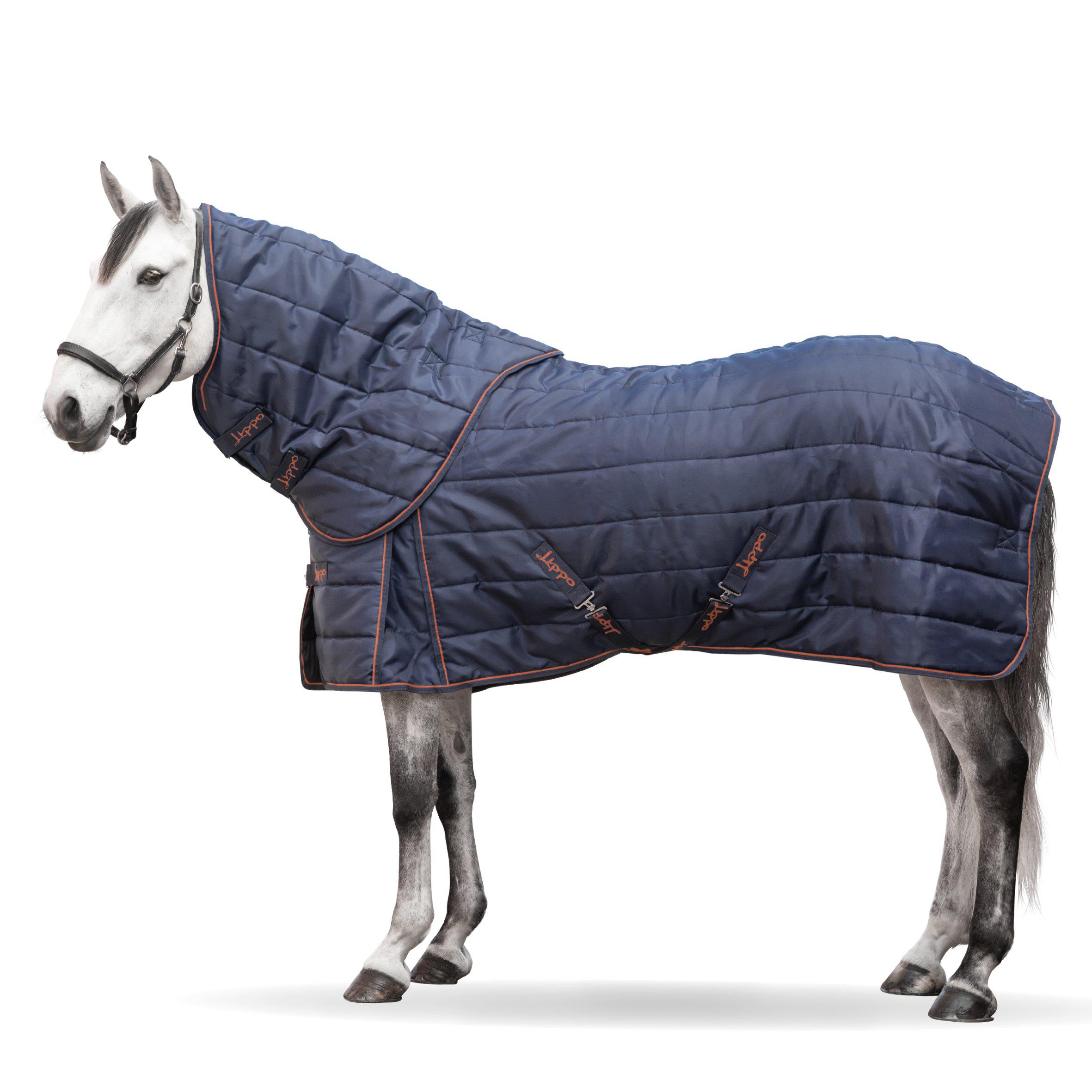 Lippo Plus Stable Rug with Hood, 300 g - Navy