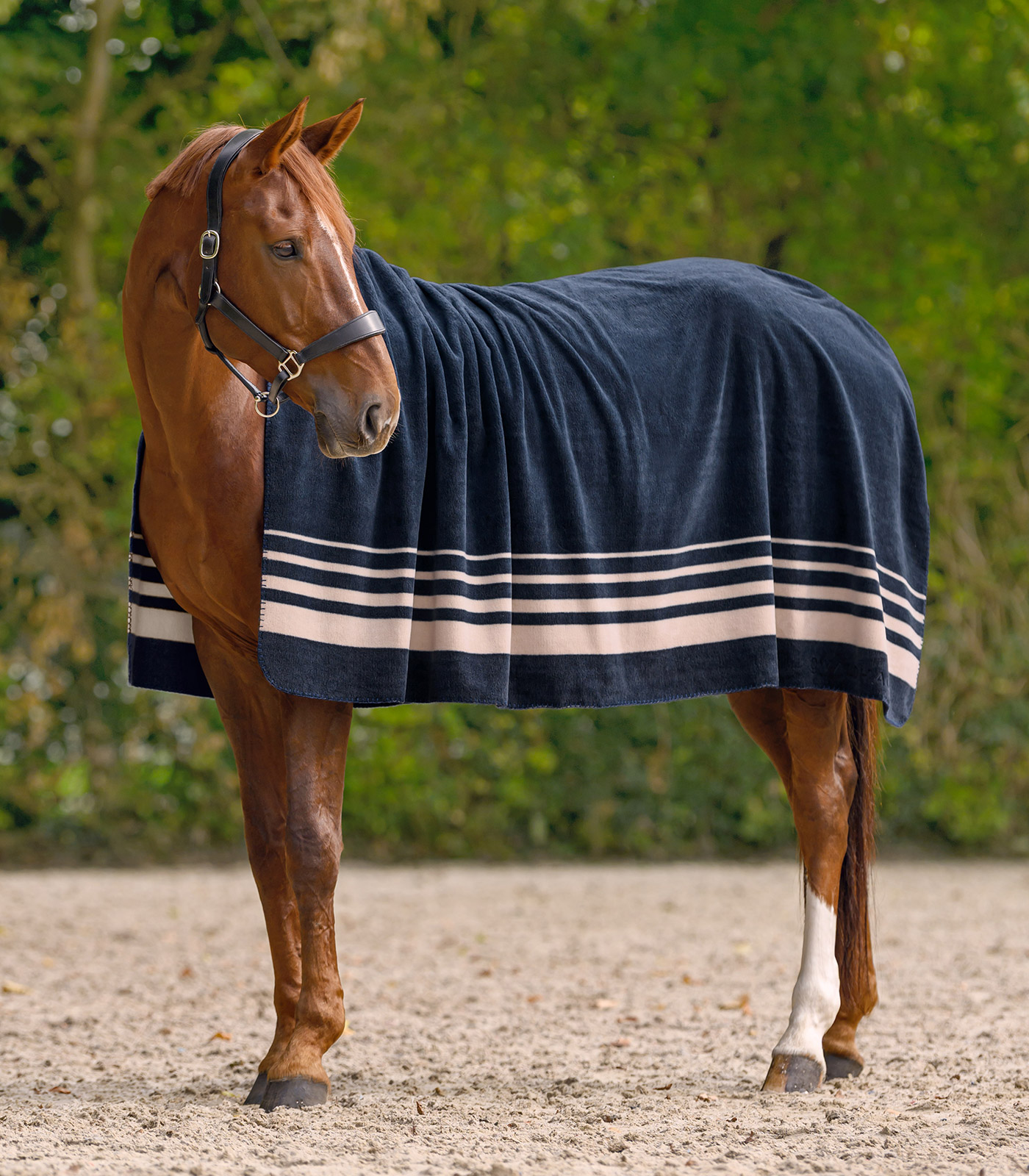 Waldhausen Sölden thick fleece blanket - night blue - 2