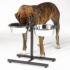 Adjustable Black Diners - 3 Sizes