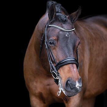 Imperial Riding Weymouth bridle Athena Black