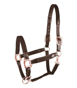Waldhausen Star Mix Leather and Web Halter - Brown/Rosegold