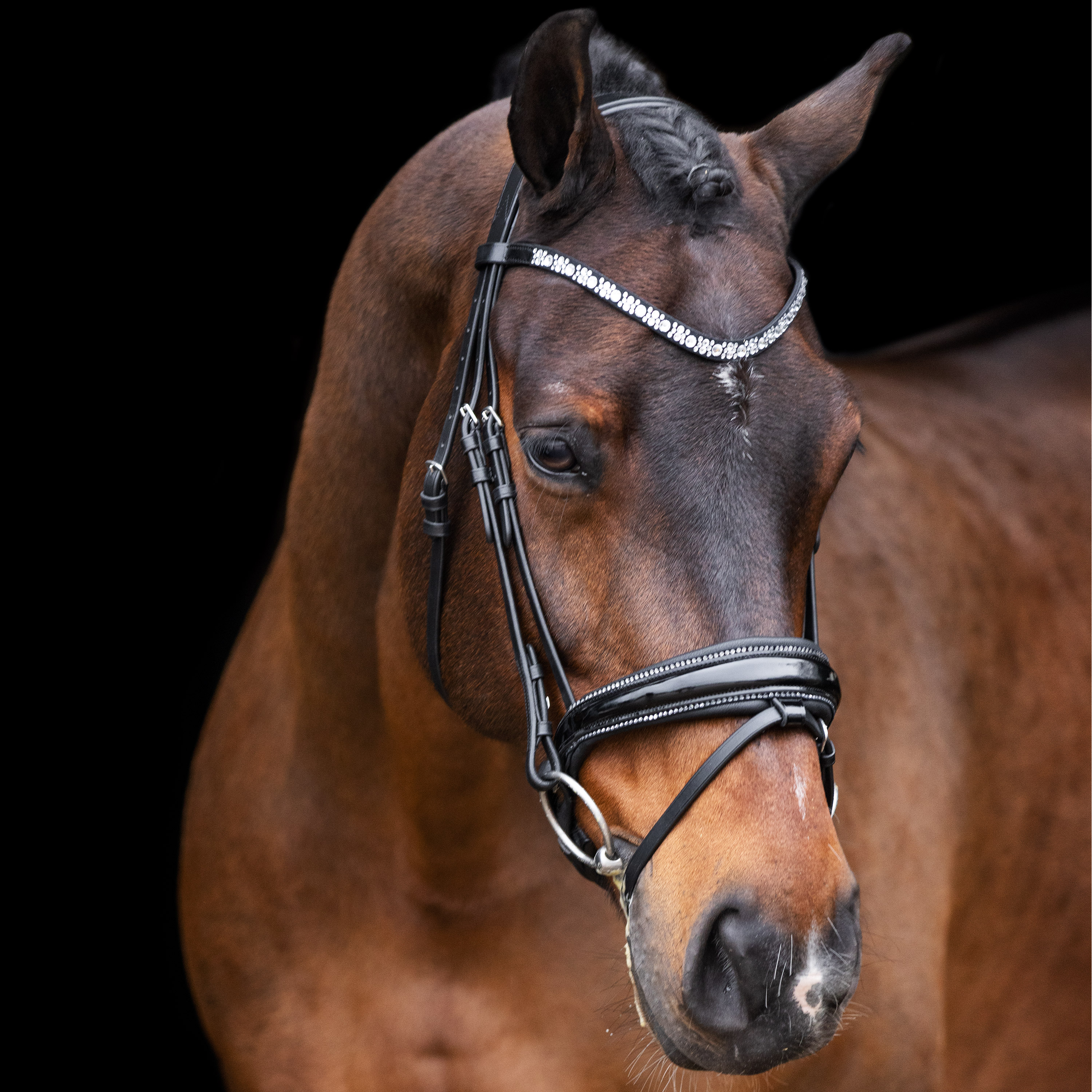 Imperial Riding Träns Olympia Black-Silver - 4