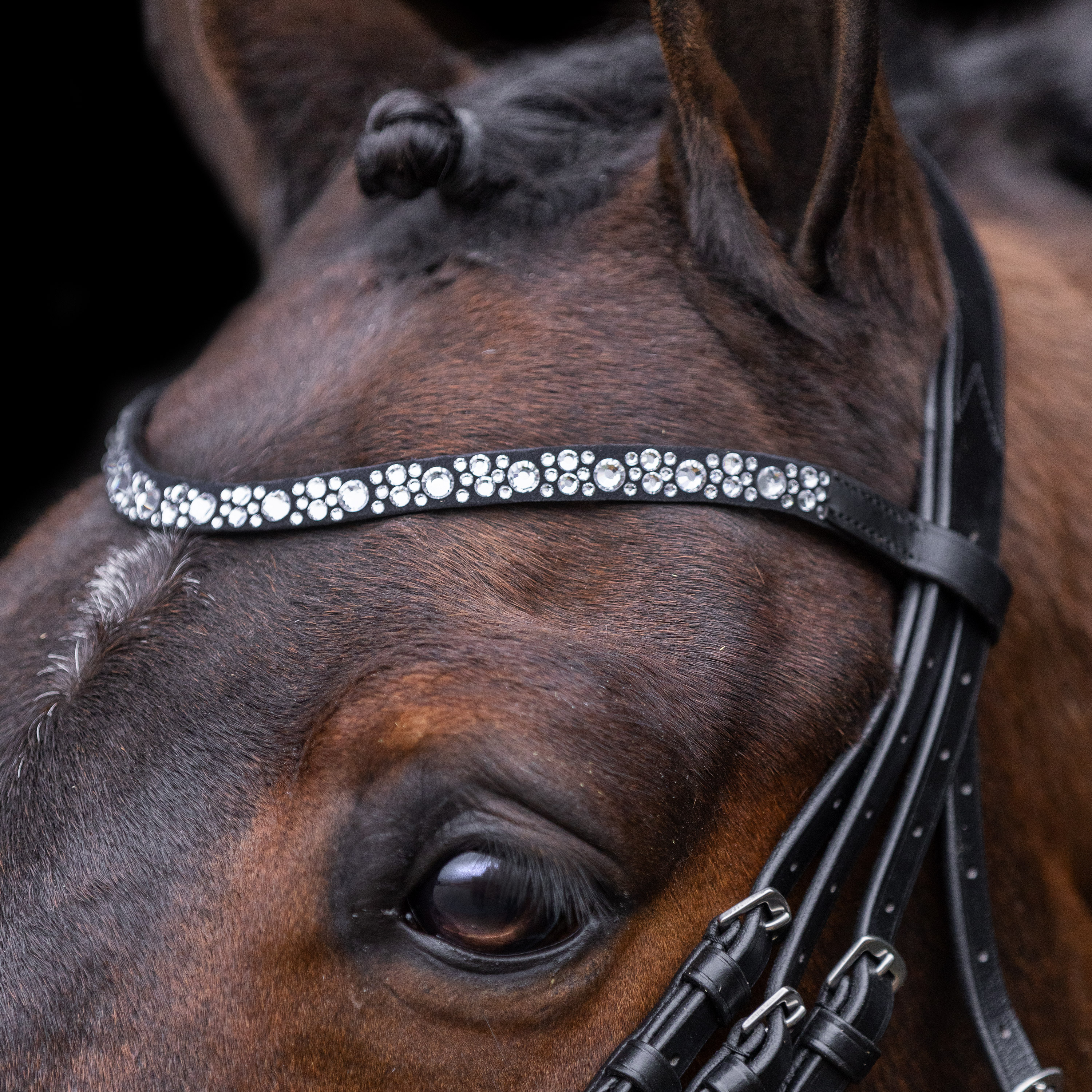 Imperial Riding Träns Olympia Black-Silver - 5