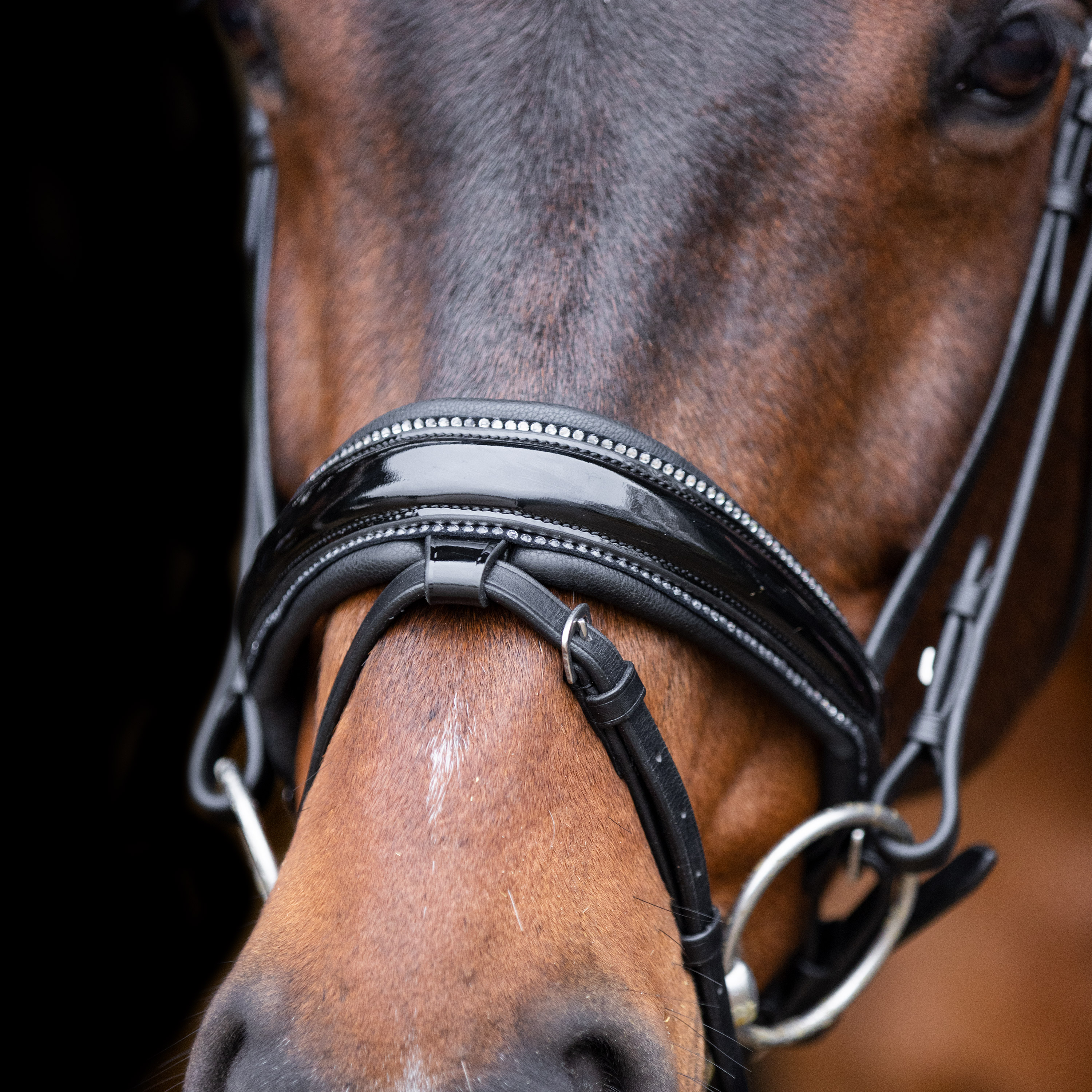 Imperial Riding Träns Olympia Black-Silver - 6