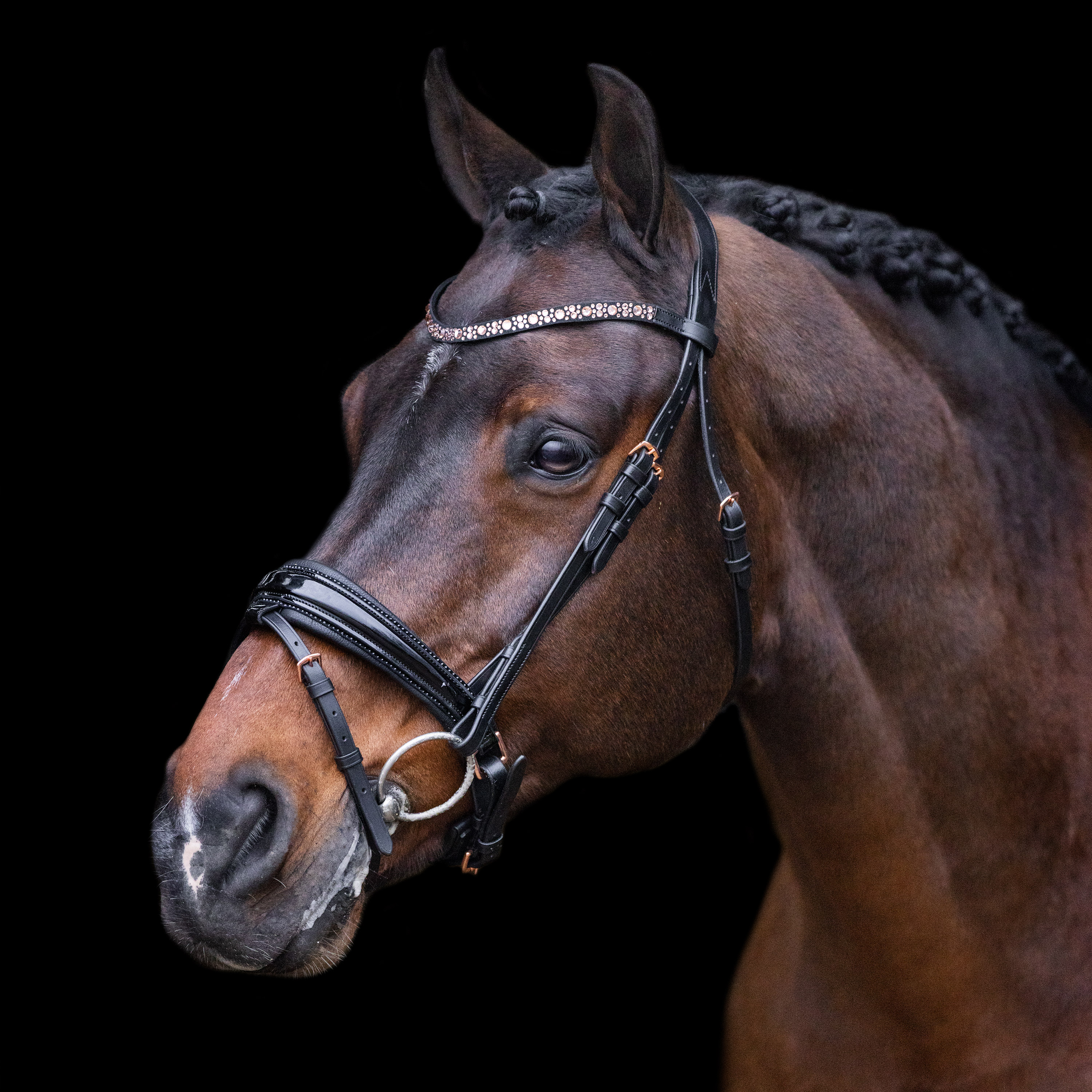 Imperial Riding Bridle Olympia Black-Rose gold - 2