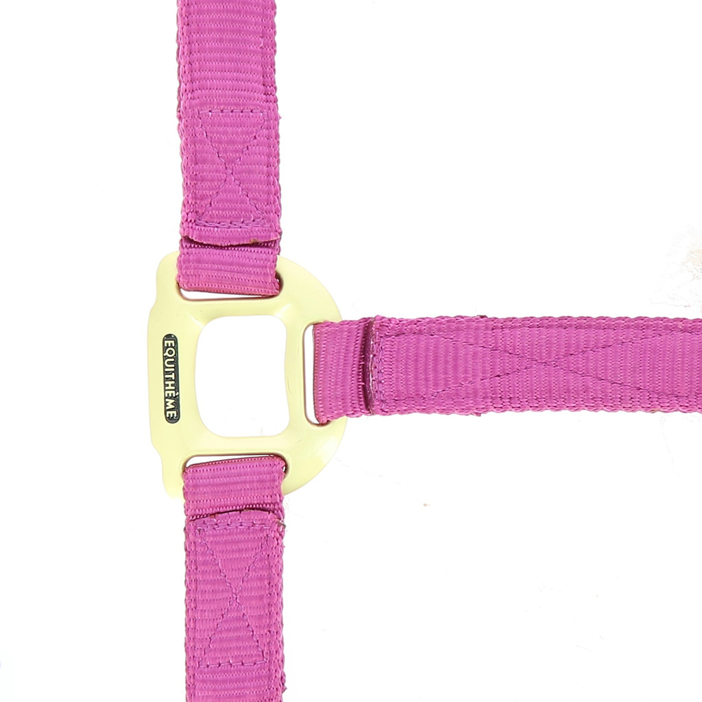 EQUITHEME Nylon Headcollar Fuchsia - Full size - 2