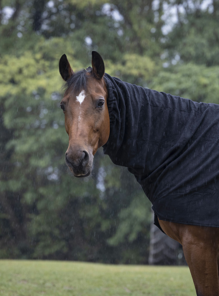 EQUITHEME Polar Fleece Neck Cover Black