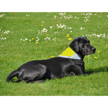 Reflective scarf - Yellow - Several sizes, M