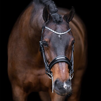 Imperial Riding Weymouth bridle Olympia Black-Silver