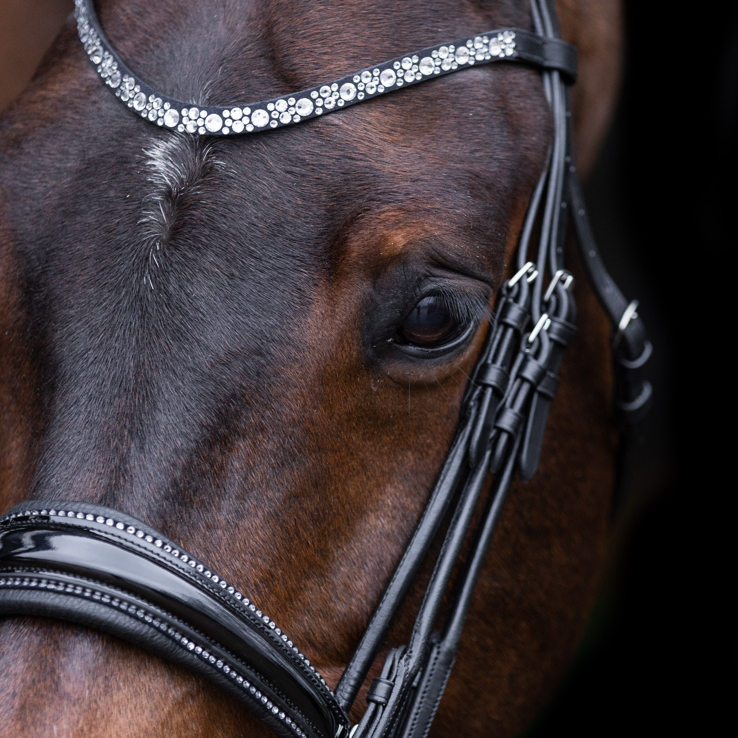Imperial Riding Weymouth bridle Olympia Black-Silver - 2