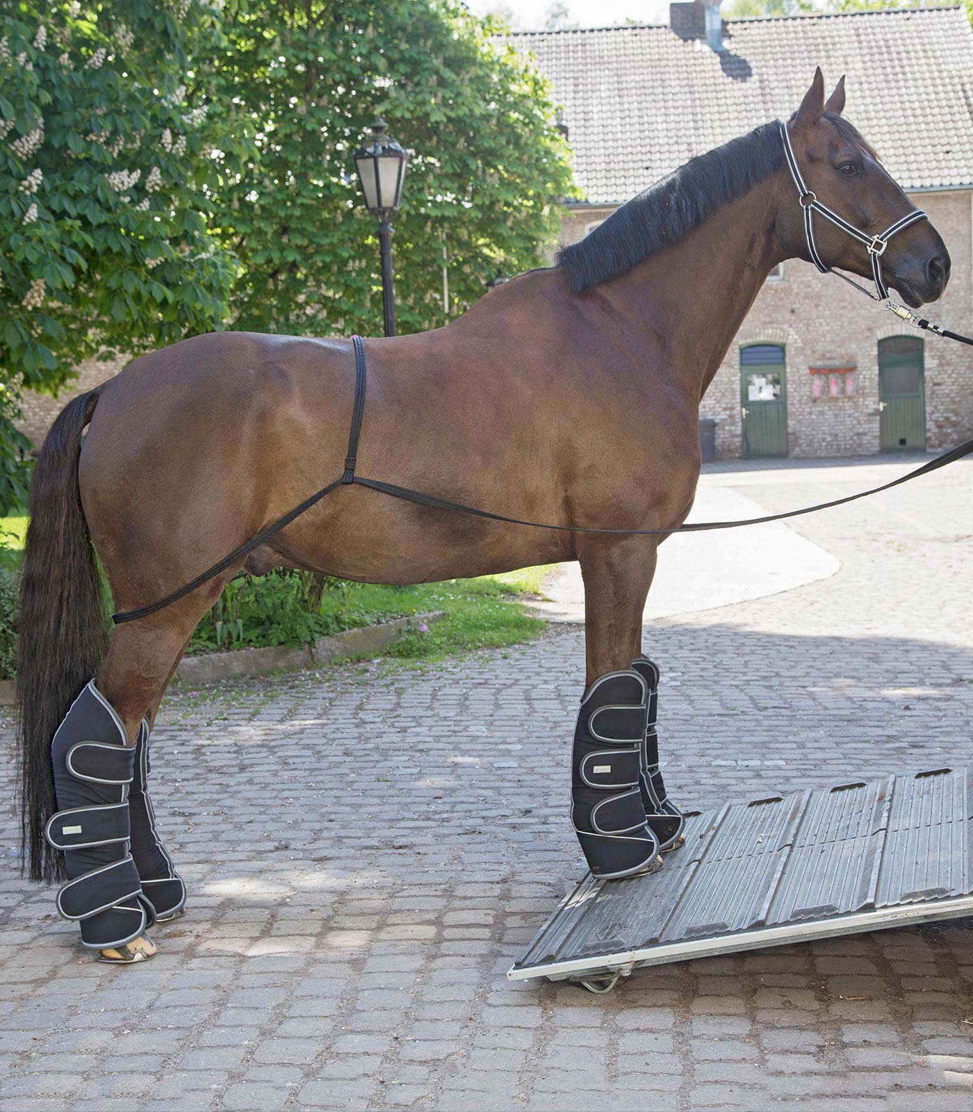 Waldhausen Lasthjälp svart