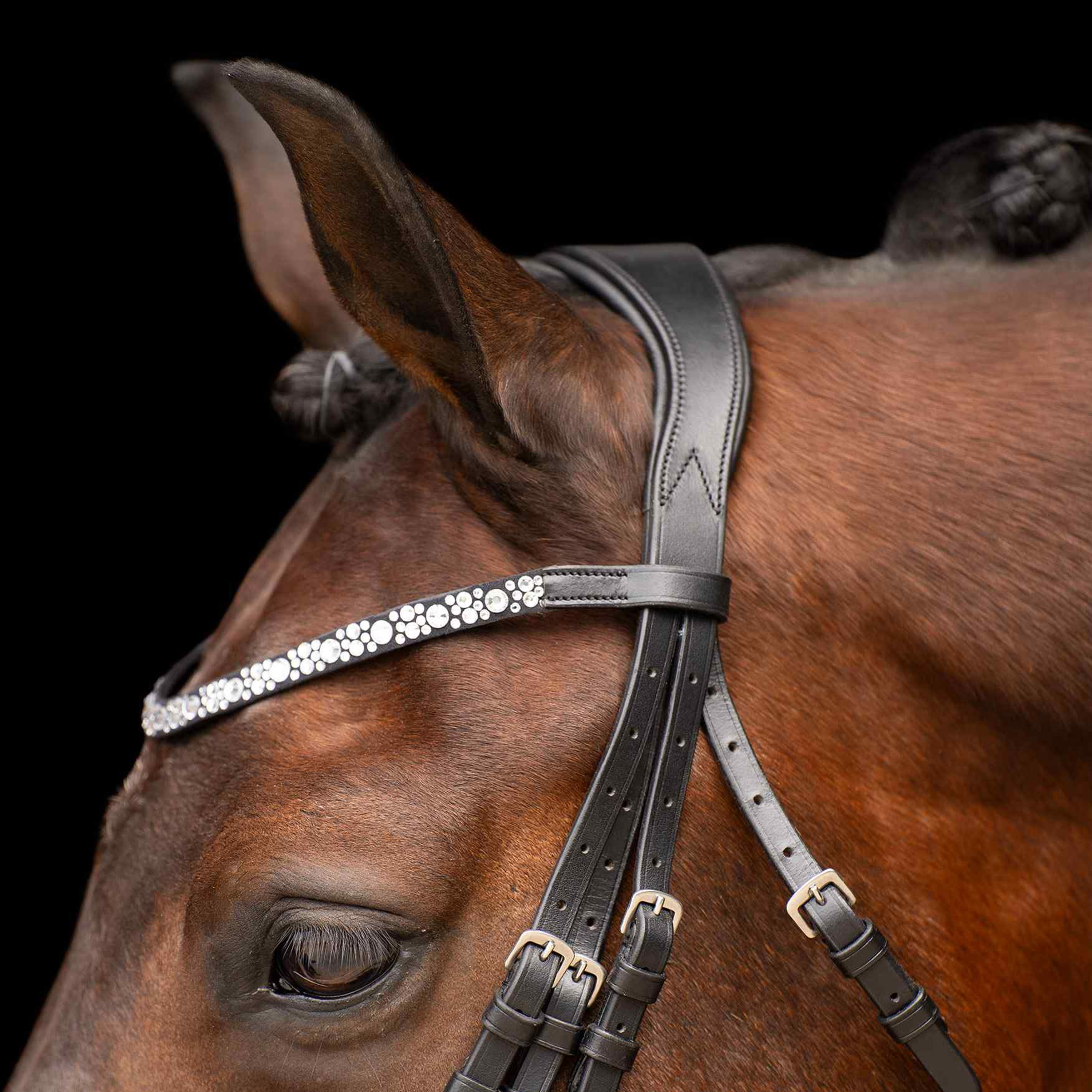 Imperial Riding Weymouth bridle Olympia Black-White - 2