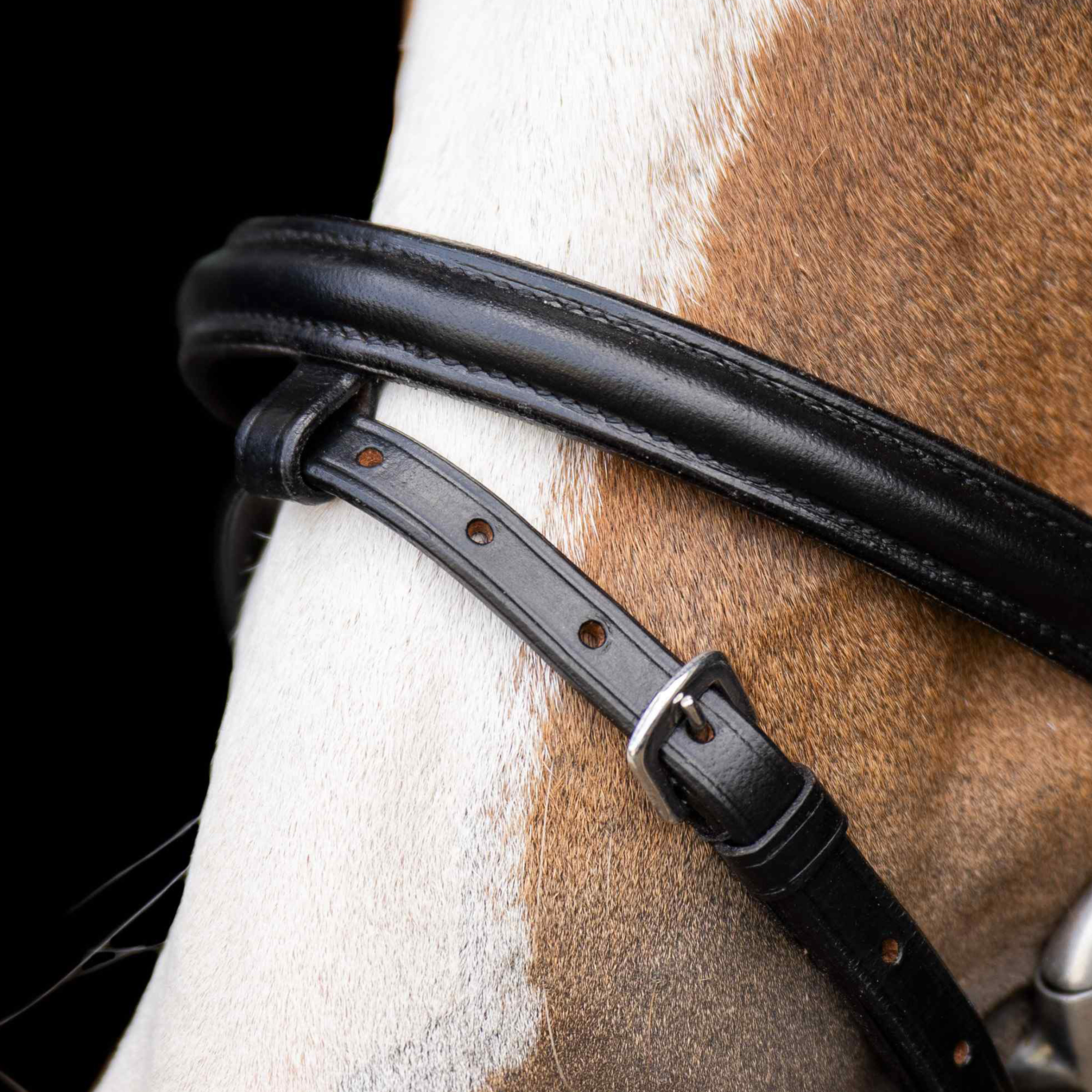 Imperial Riding SHETTY Bridle Stormy Black-Crystal - 4