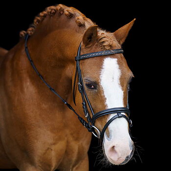 Imperial Riding SHETTY Bridle Stormy Black-Crystal