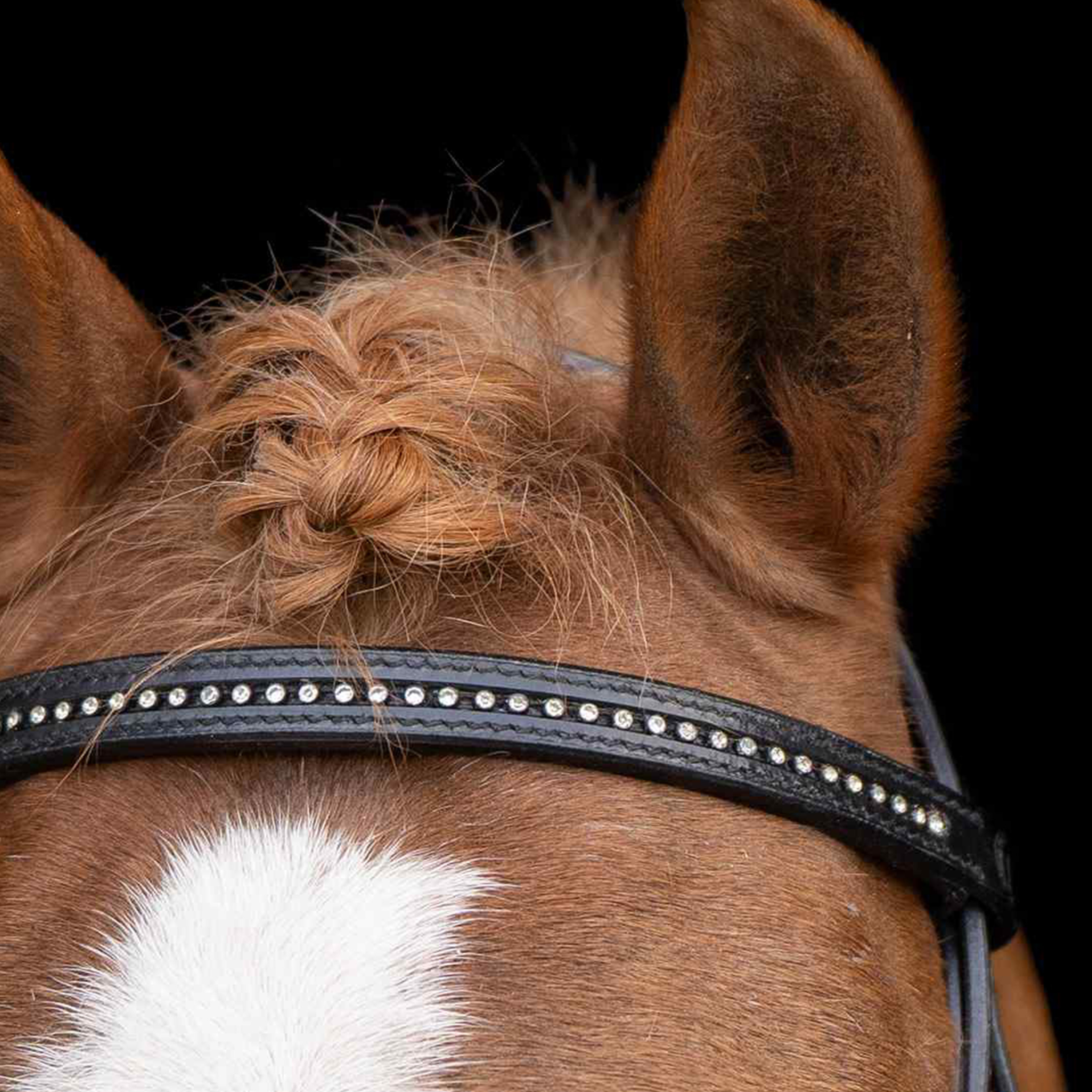 Imperial Riding SHETTY Bridle Stormy Black-Crystal - 2