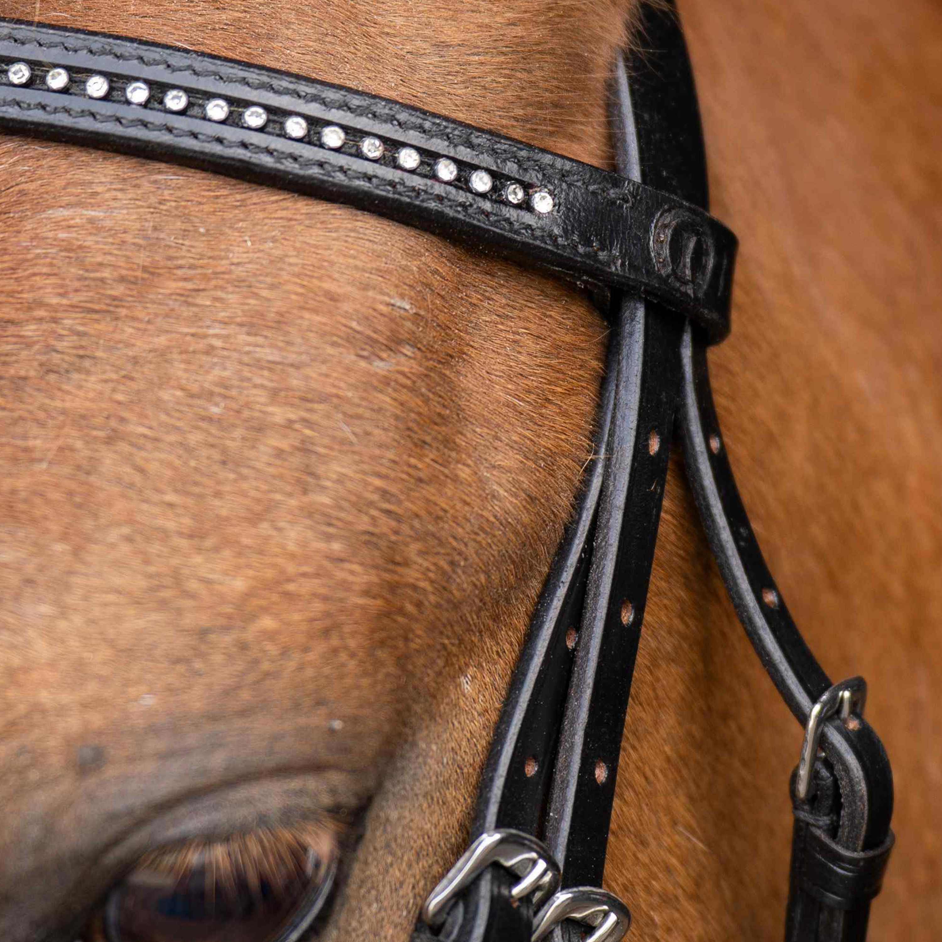 Imperial Riding SHETTY Bridle Stormy Black-Crystal - 3