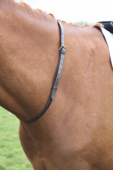 Shires Blenheim Nahkainen Kaularemmi