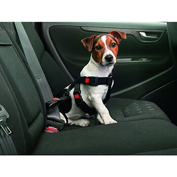 Karlie Car Harness 35-50 cm - XS/S/M, M