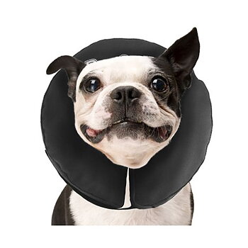 ZenPet Inflatable Pet Cone, XXL