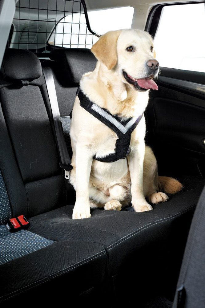MIMAllsafe Crash-tested Car Harness, XL
