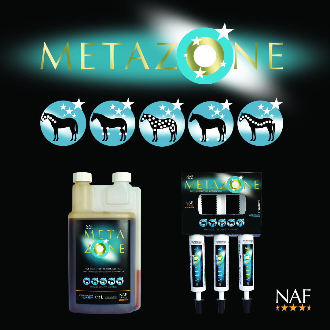 NAF Metazone Syringe 3x30ml   - 3