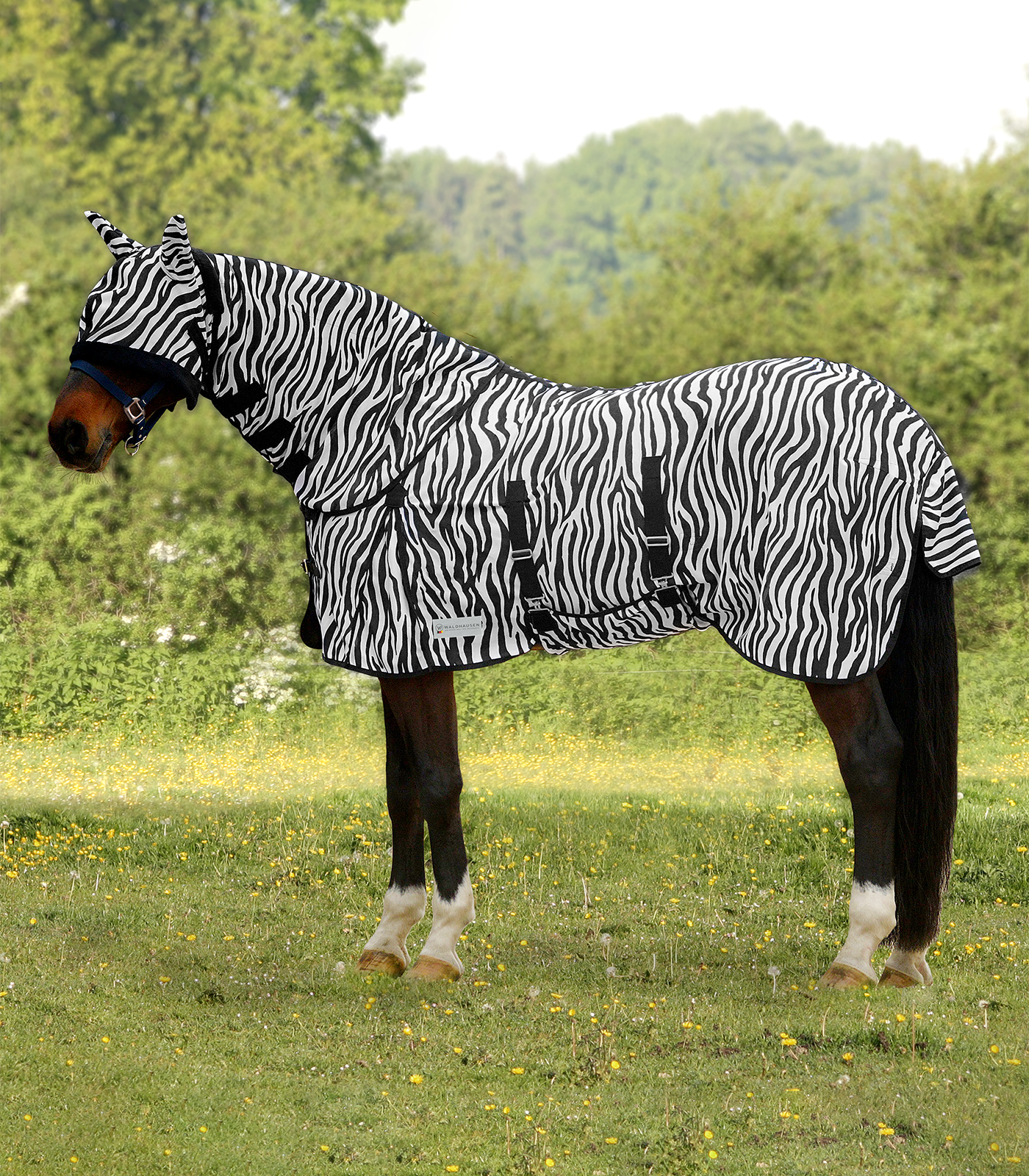 Waldhausen Zebra Fly Rug black-and-white - 2