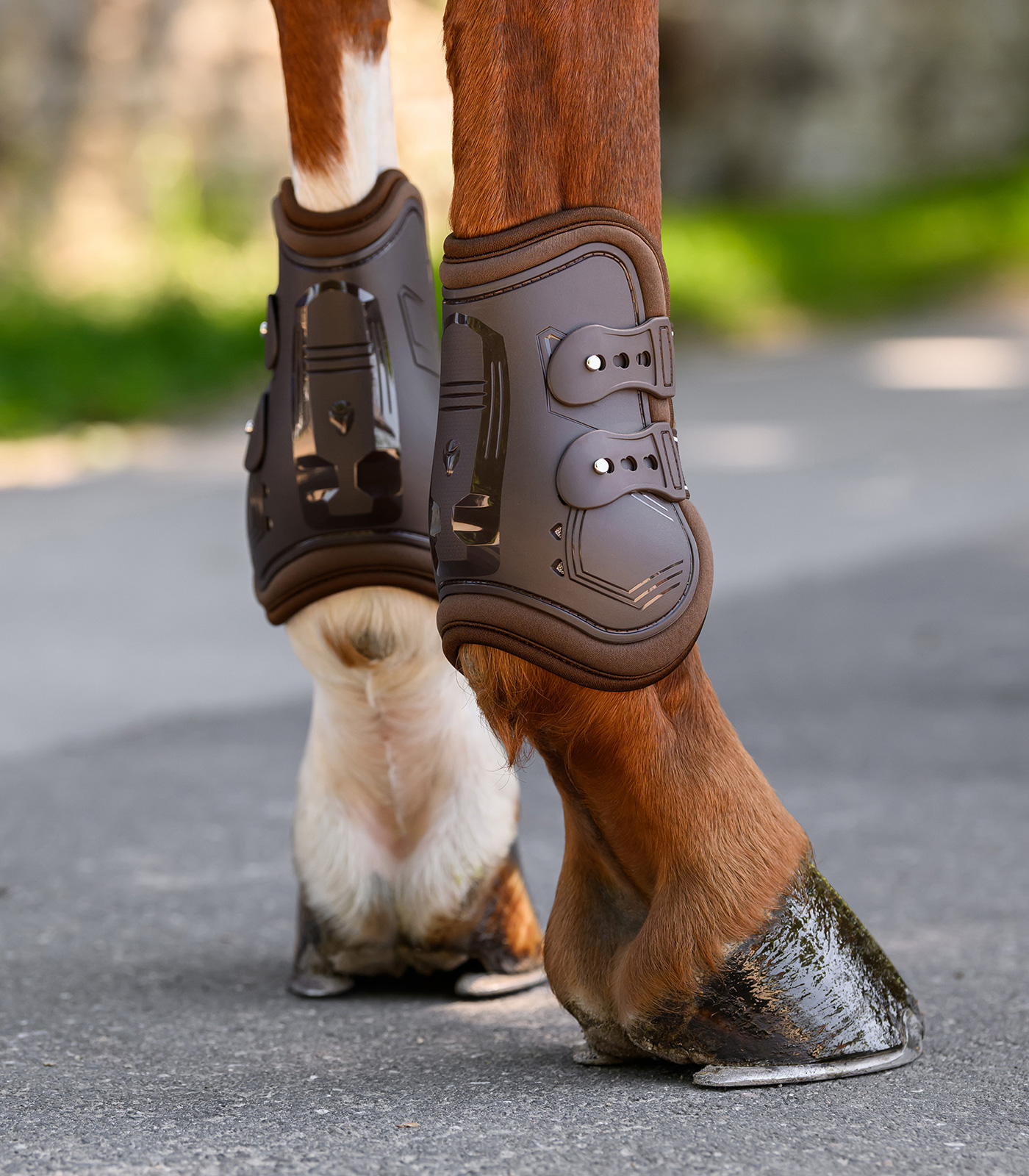 Waldhausen Memory Foam Pro fetlock boot - brown - 4