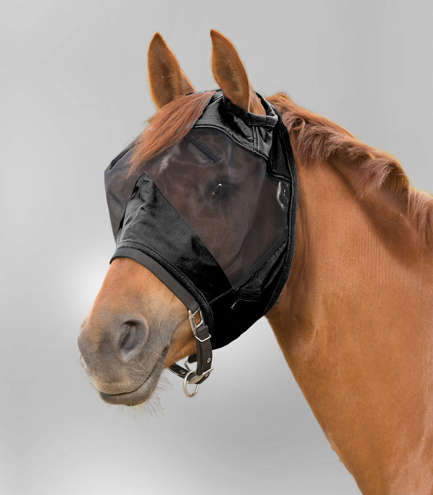 Waldhausen PREMIUM Fly Mask without ear protection black