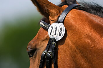 EQUITHEME 3-numeroinen Pyöreä Numerolappu