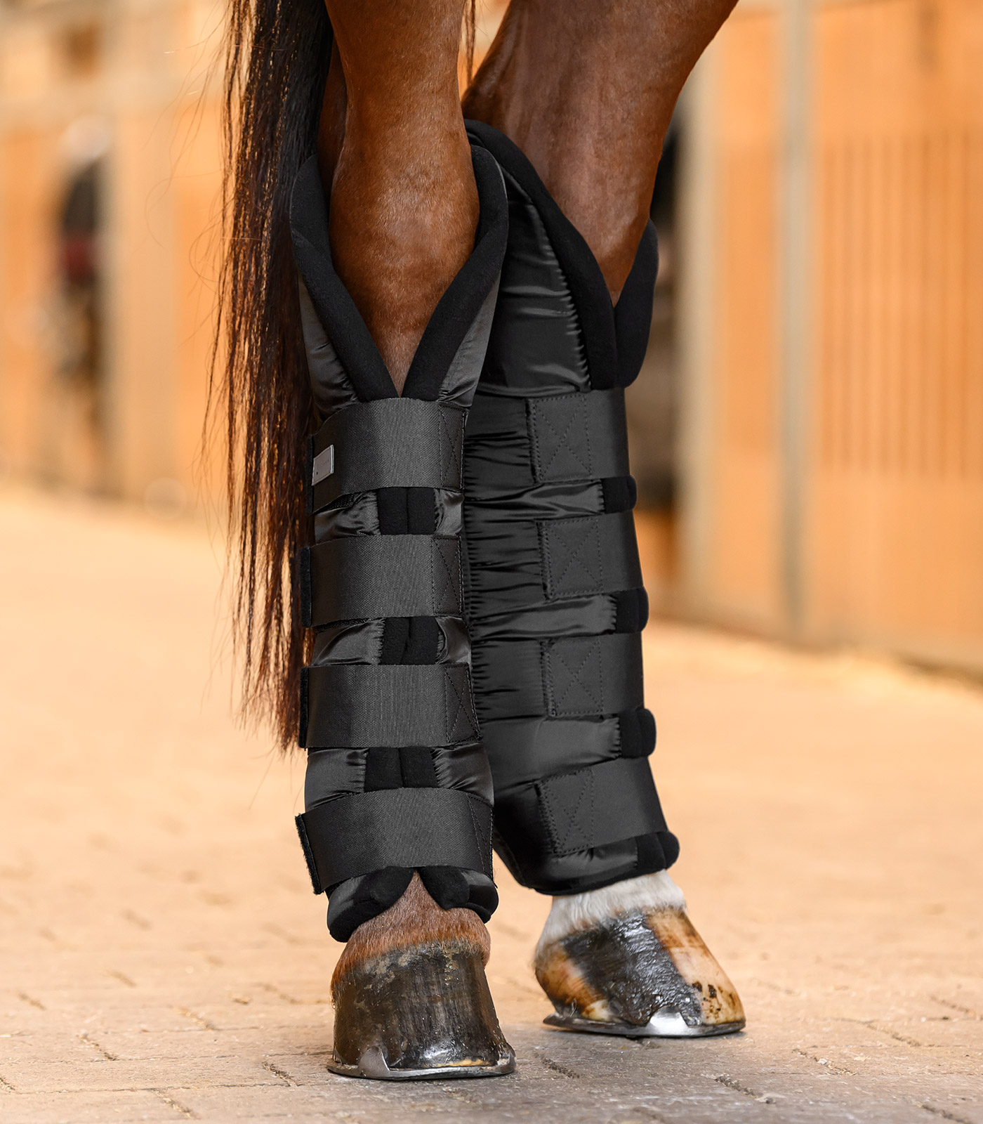 Waldhausen Stable boots with joint support, rear - black - 5