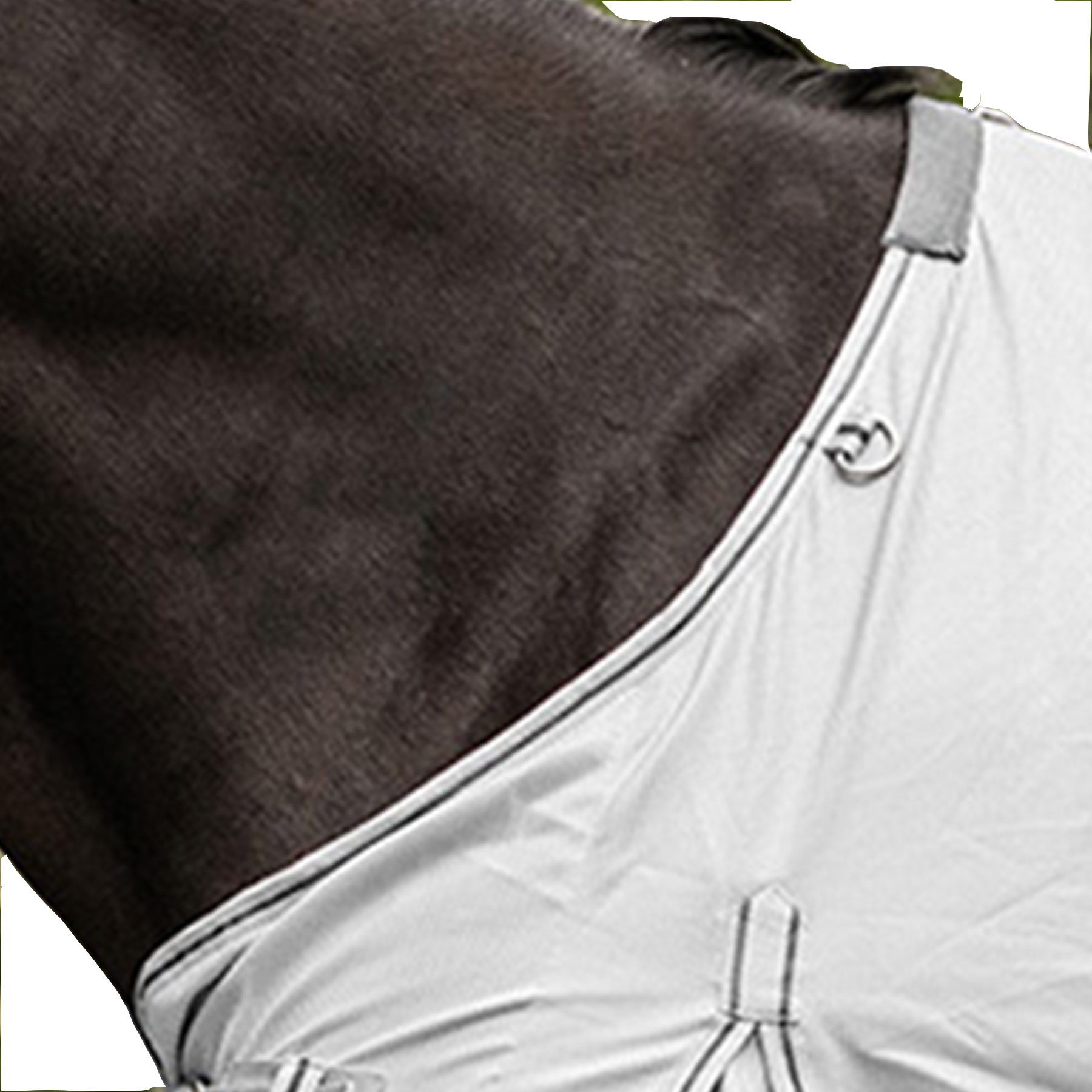Waldhausen PROTECT fly rug silver grey/gray - 4