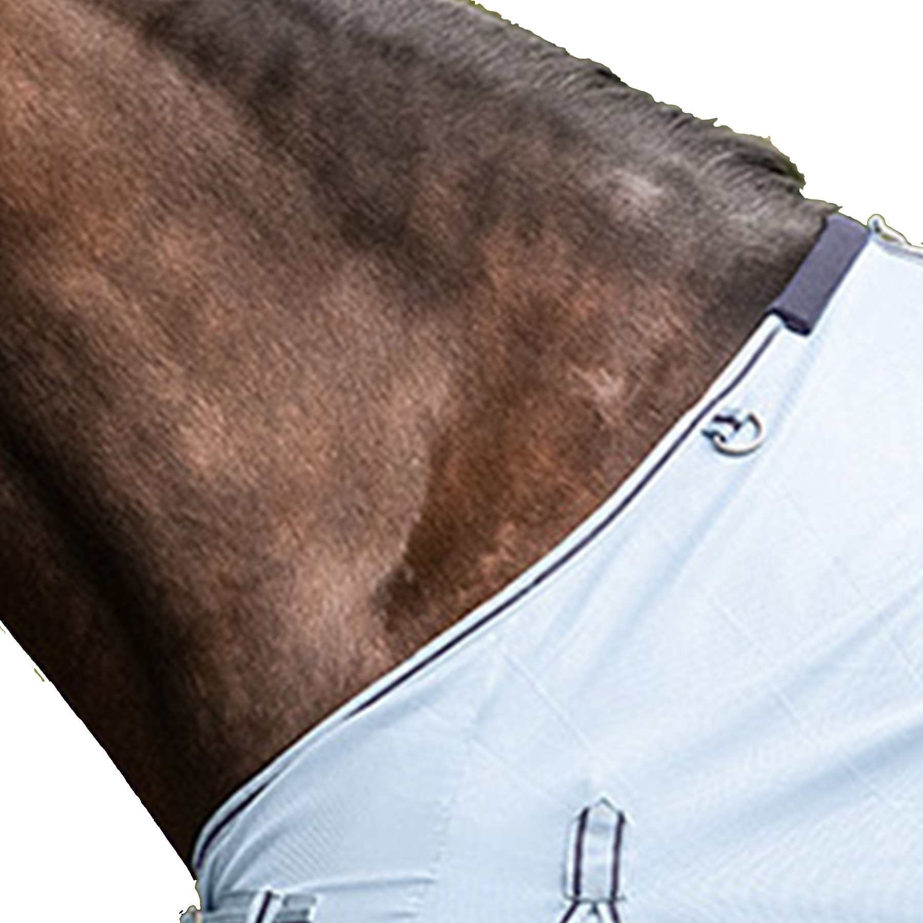 Waldhausen PROTECT fly rug light blue/night blue - 4