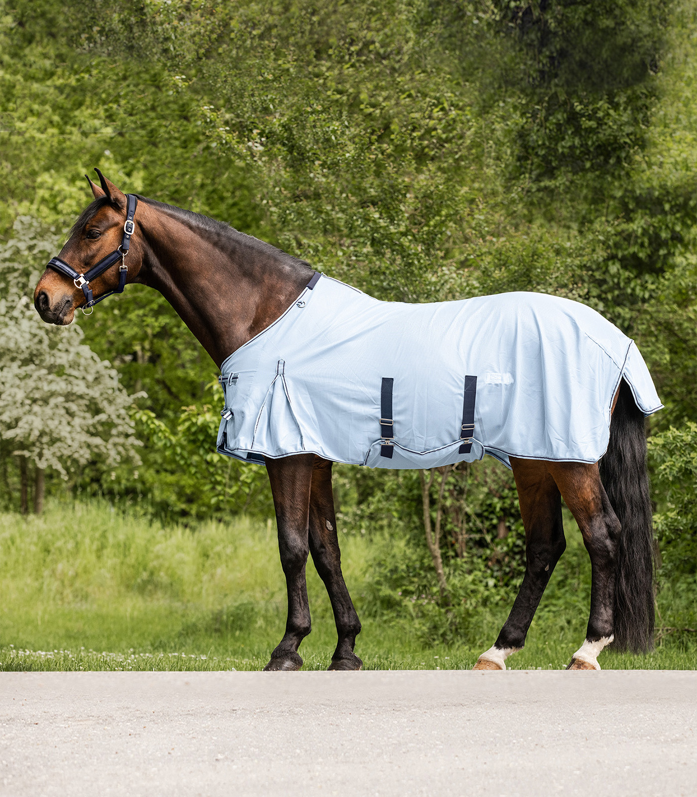 Waldhausen PROTECT fly rug light blue/night blue