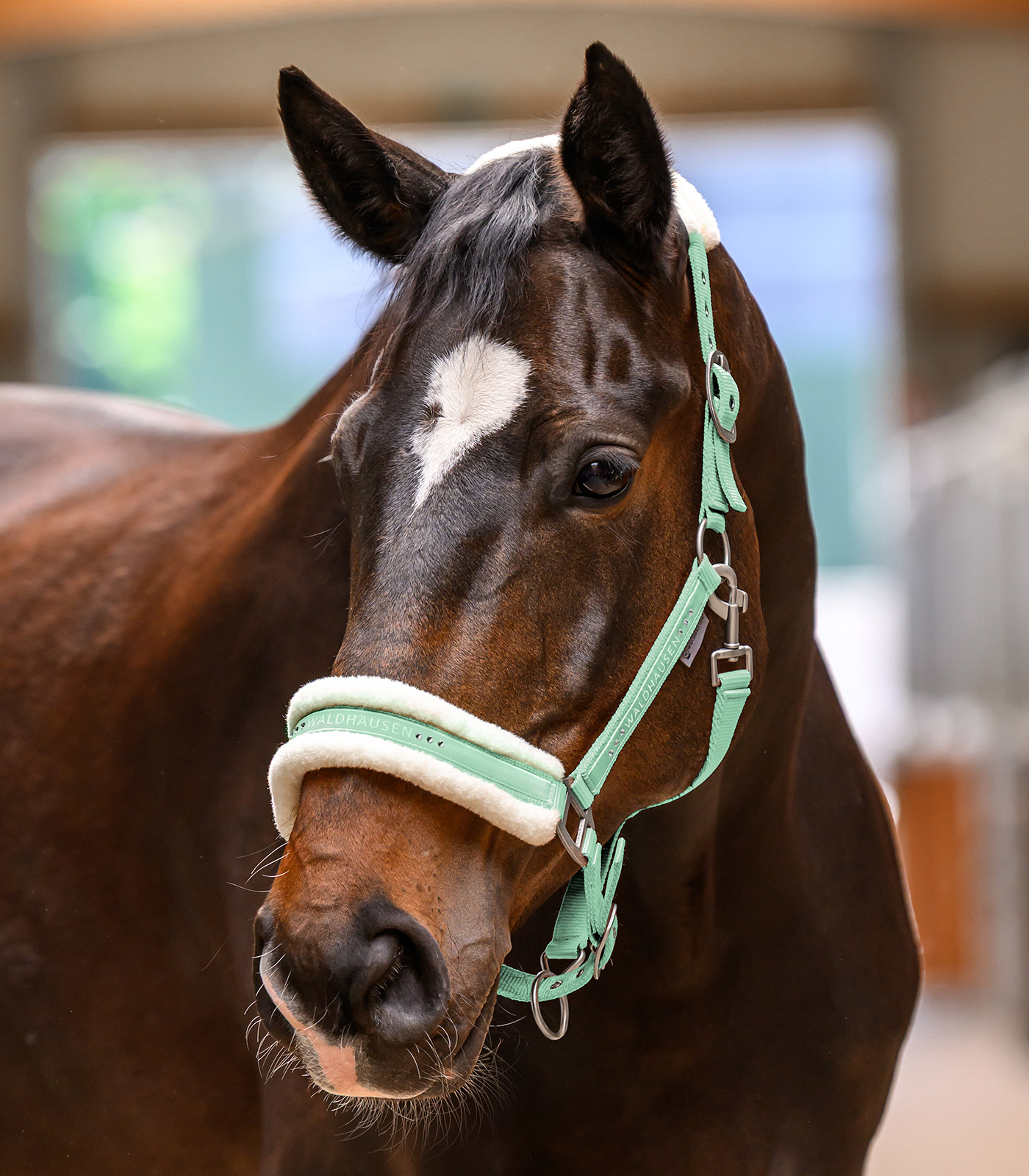 Waldhausen Elegant halter - pistachio - 2