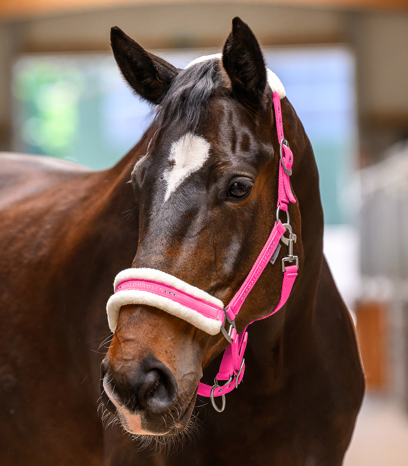 Waldhausen Elegant halter - pink - 2