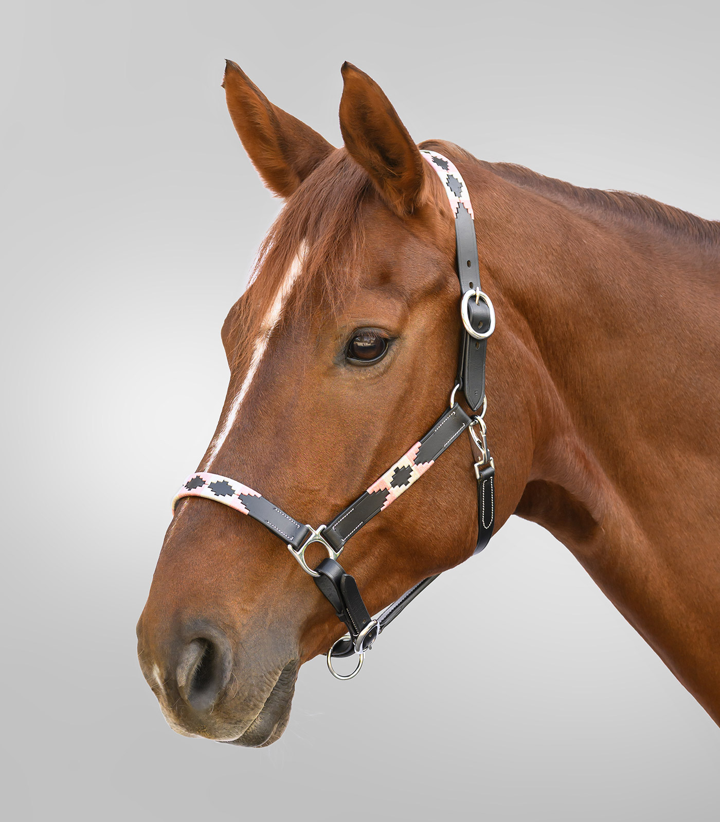 Waldhausen X-Line leather halter Polo - pink/beige - 2