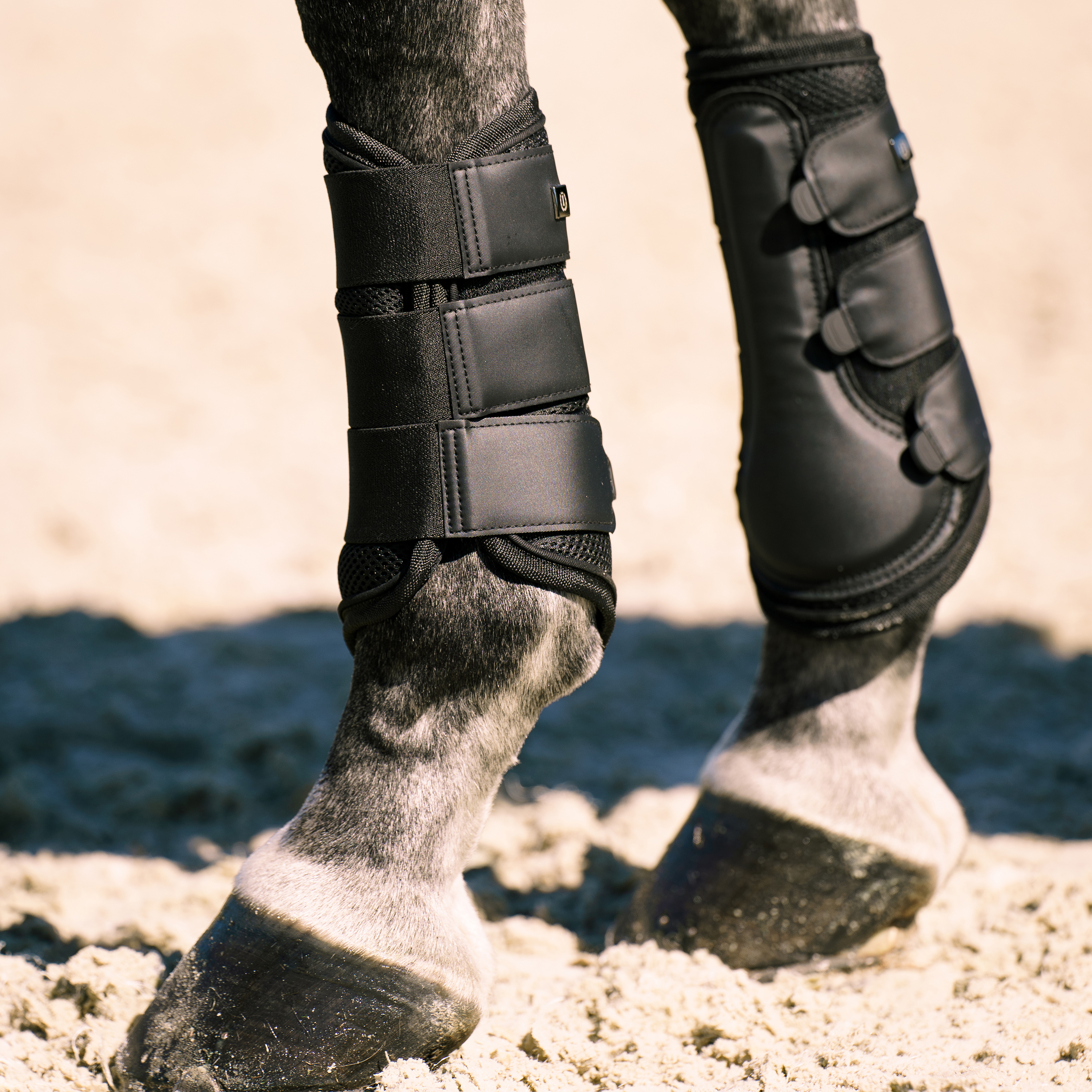 Imperial Riding Borsteing boots Cloud Dancer Svart - 2