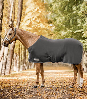 Waldhausen ECONOMIC Fleece Rug with Cross Straps gray