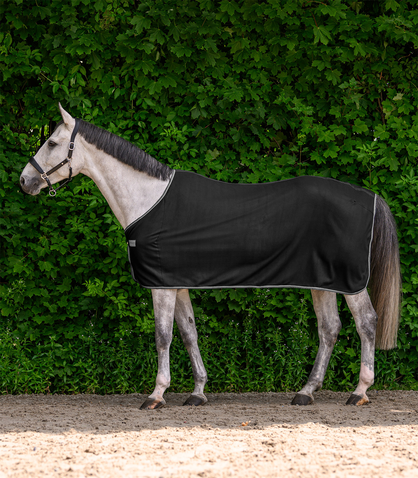 Waldhausen ECONOMIC fleece rug - black