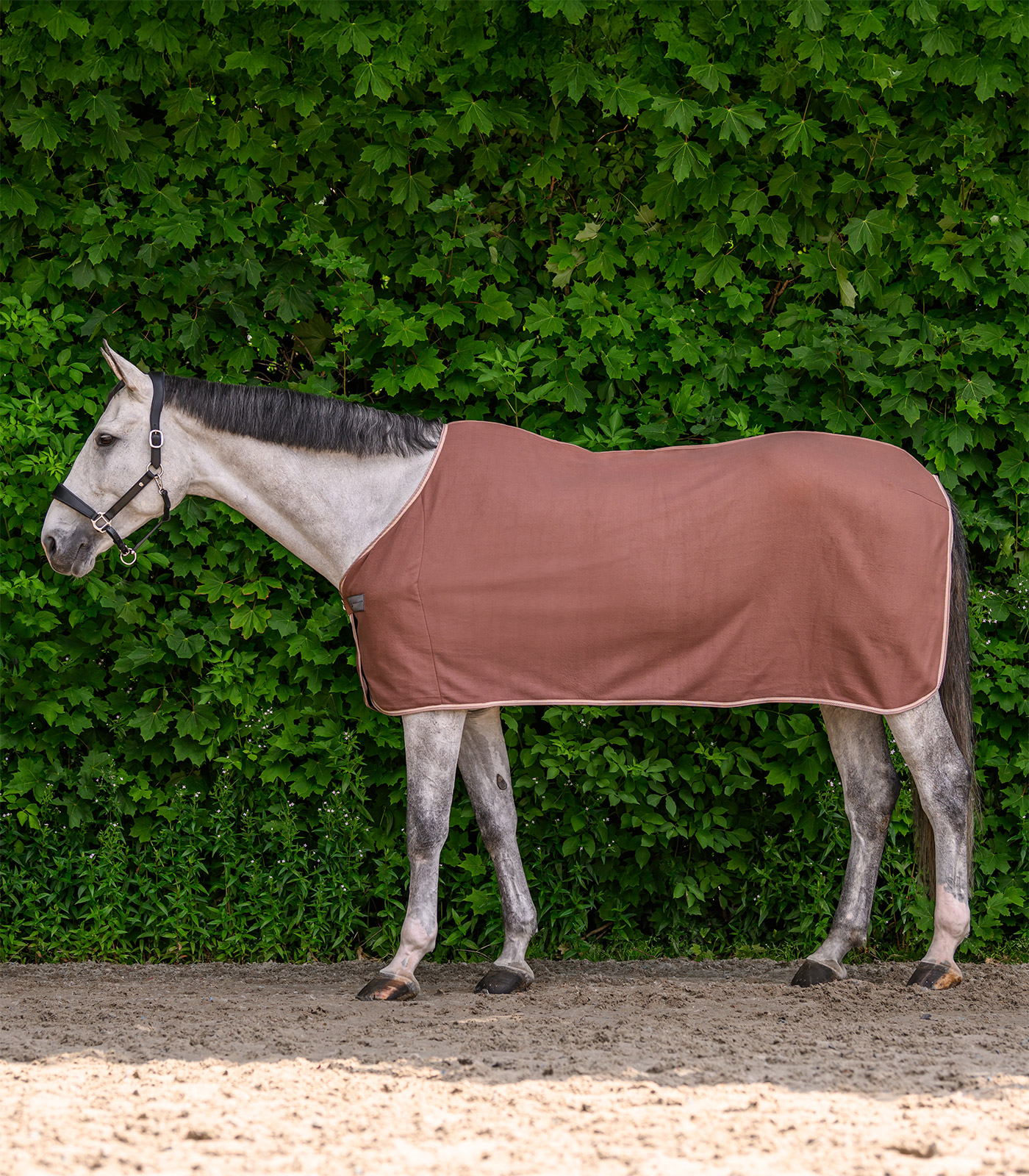 Waldhausen ECONOMIC fleece rug - mocca