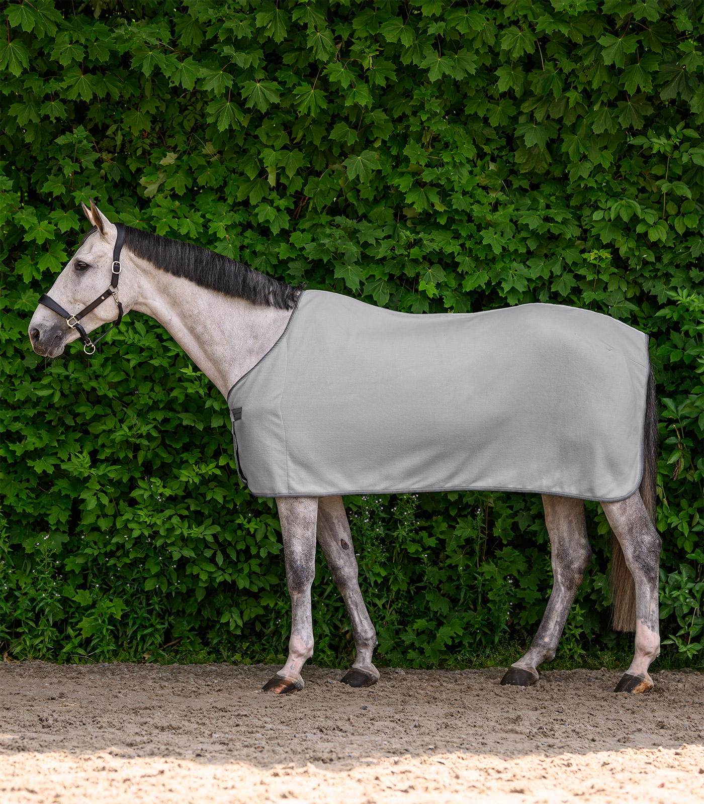 Waldhausen ECONOMIC fleece rug - silver grey