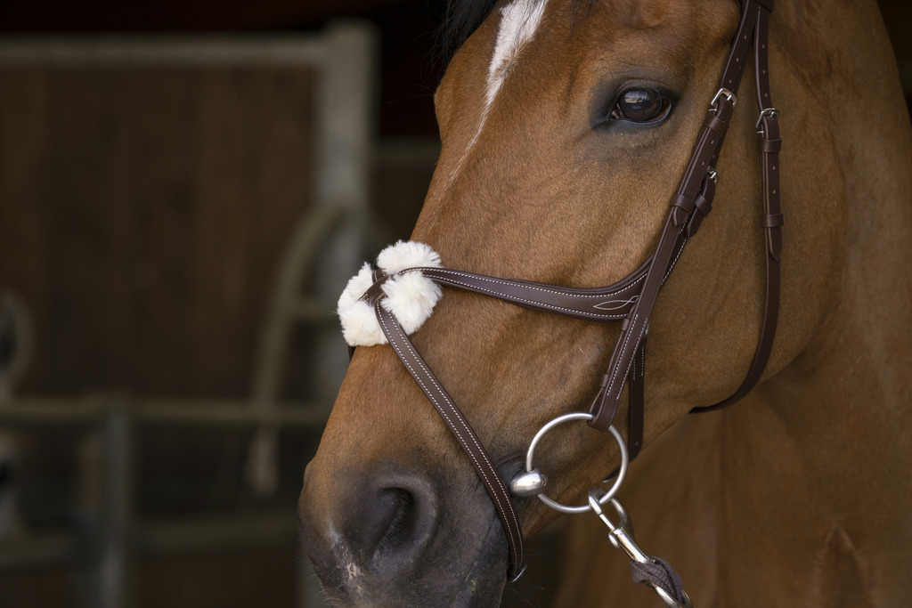 NORTON PRO Crossed Noseband Bridle Havana - 2