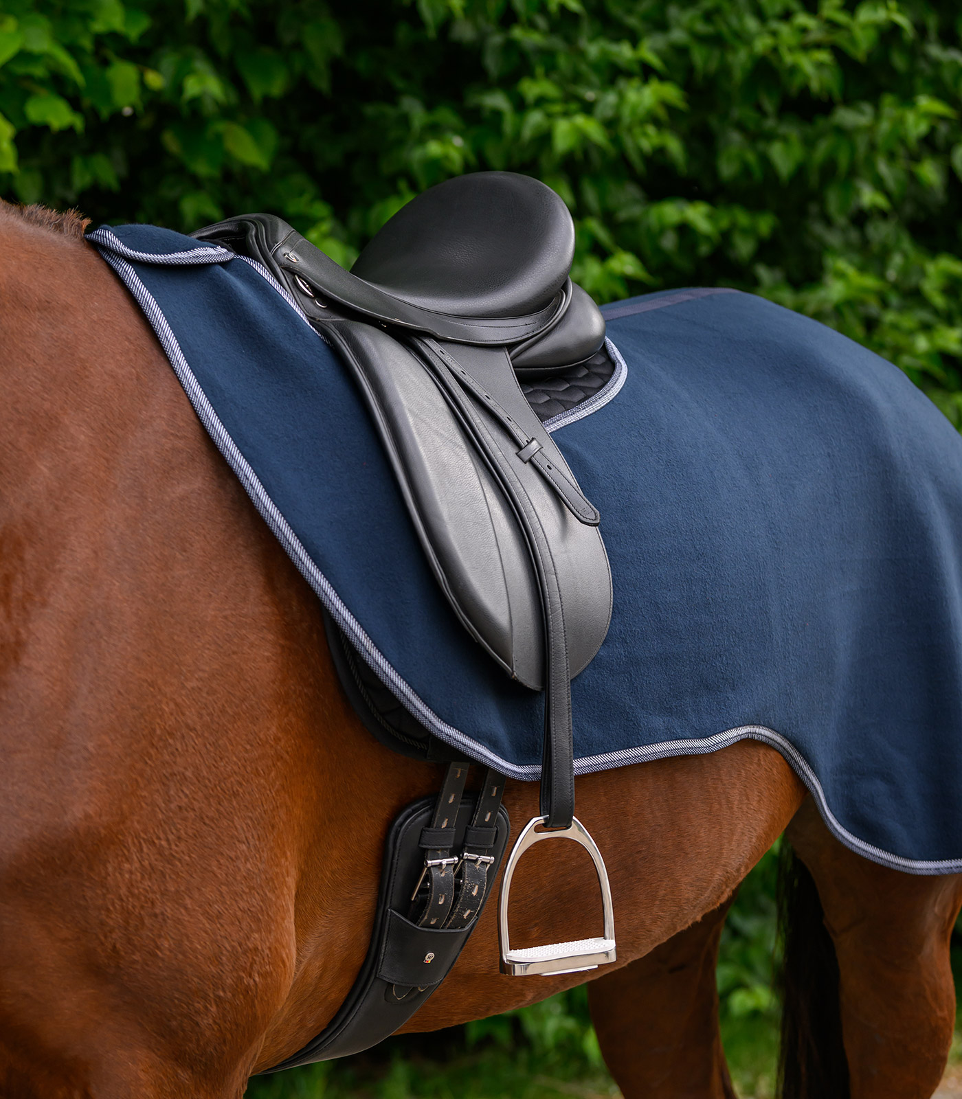 Waldhausen ECONOMIC riding rug - night blue - 2