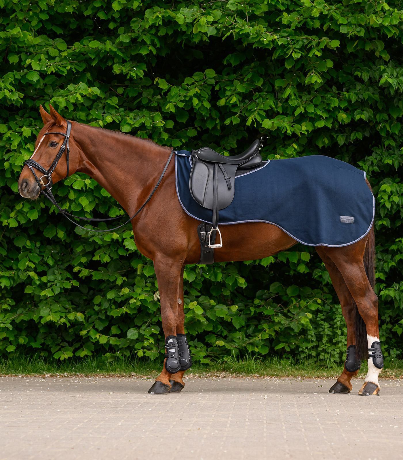 Waldhausen ECONOMIC riding rug - night blue