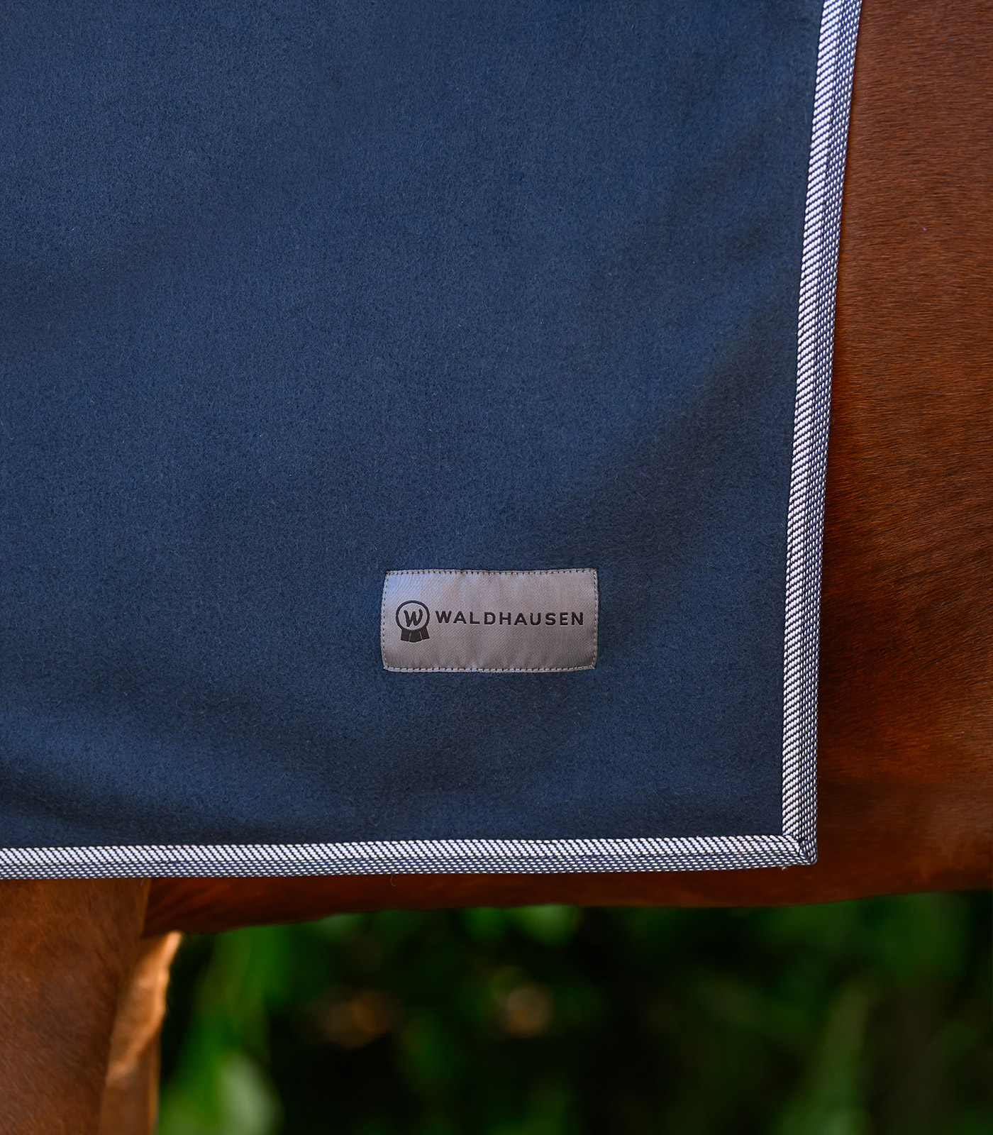 Waldhausen ECONOMIC fleece kaulaloimi - yönsininen - 2