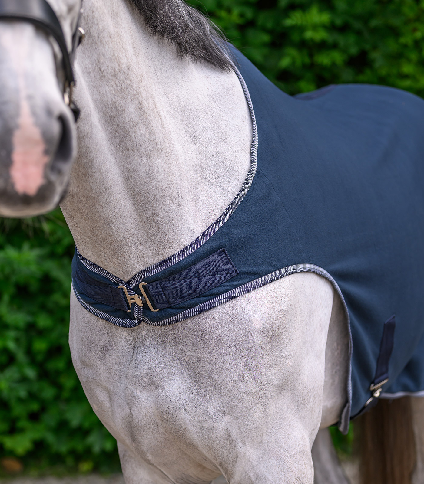 Waldhausen ECONOMIC fleece horse walker rug - night blue - 2